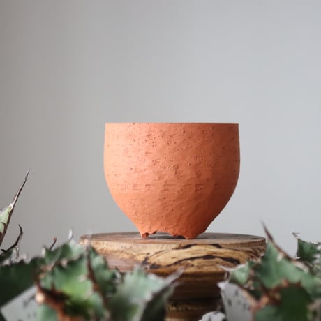 N/OH / コロ鉢 / persimmon + Line / SS   no.421-124