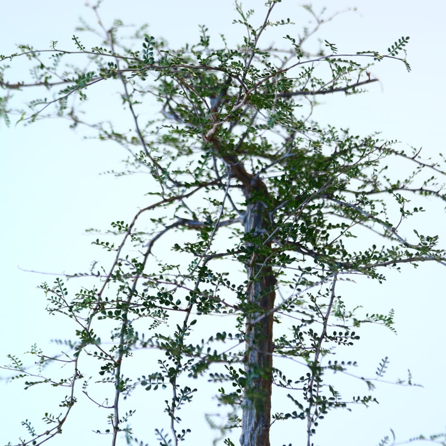 6503af998ae178002f2ff508