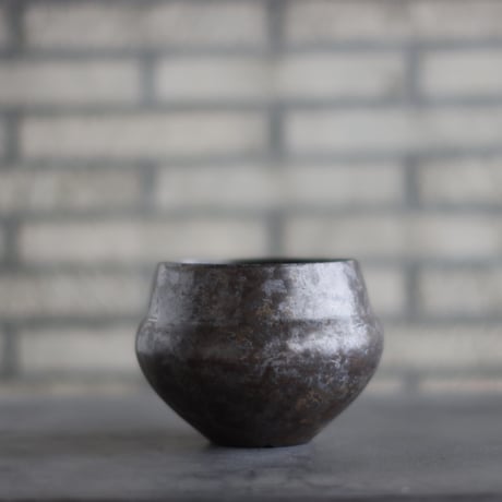 CATEGORY 5号鉢 | 芽の巣山