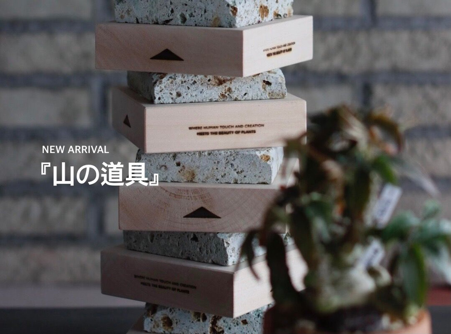 【月末セール特別アイテム①】植木鉢9点セット 作家鉢 作家鉢 – linkplants -リンクプランツ- 鉢・プランター