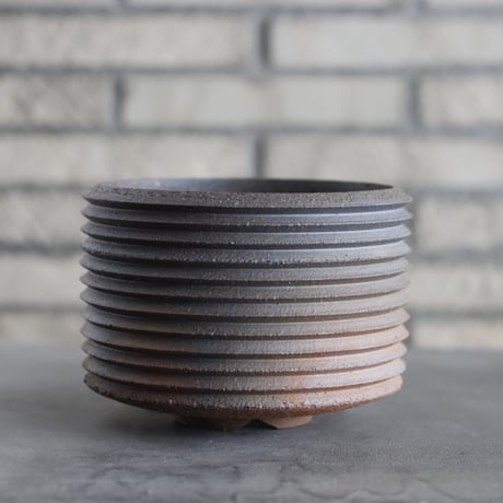 CATEGORY PLANETX | 芽の巣山