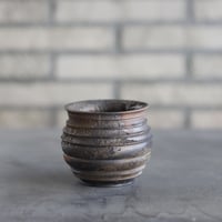 たけろうポット / チギリ / カリウド(ミドリ) / S no.929/3 | 芽の巣山