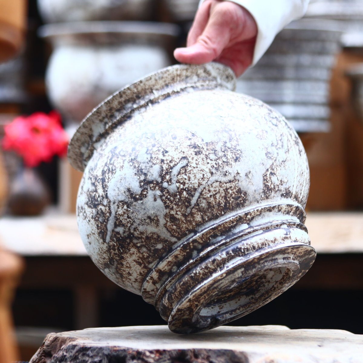 たけろうポット / 大鉢 / シロサビ no.612-T09 | 芽の巣山