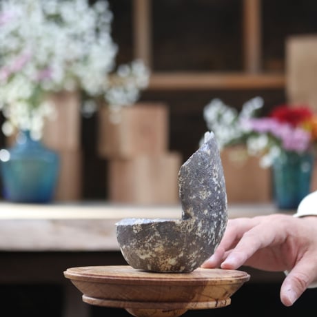 【TENN】Pot / TAKERO POT  no.1225/111