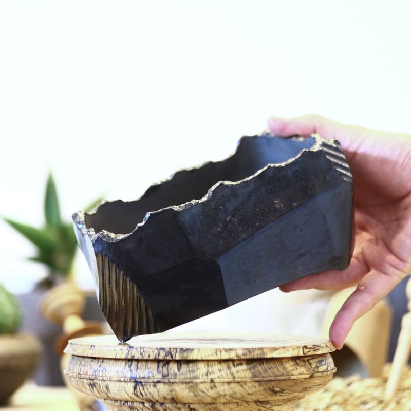 N/OH 澪標 盆栽鉢 / Black / M no.611-83 | 芽の巣山 N/OH 澪標 盆栽鉢 / Black / M no.611-83 | 芽の巣山