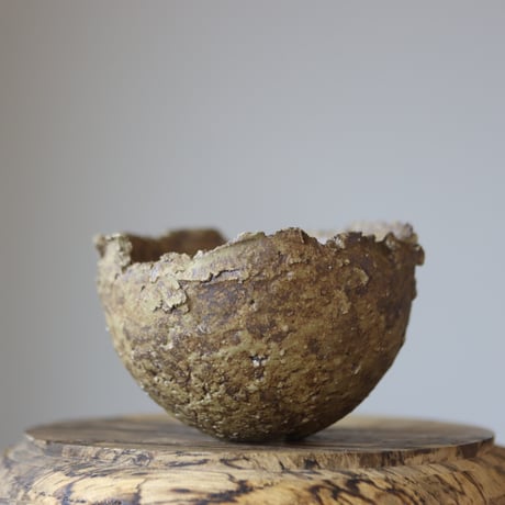 CATEGORY 2025/1/5 20:00~ | 芽の巣山