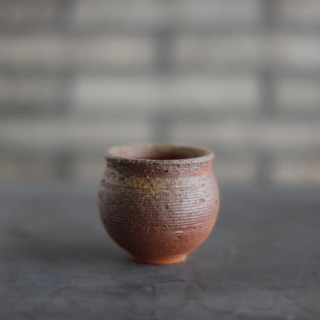 CATEGORY たけろうポット | 芽の巣山