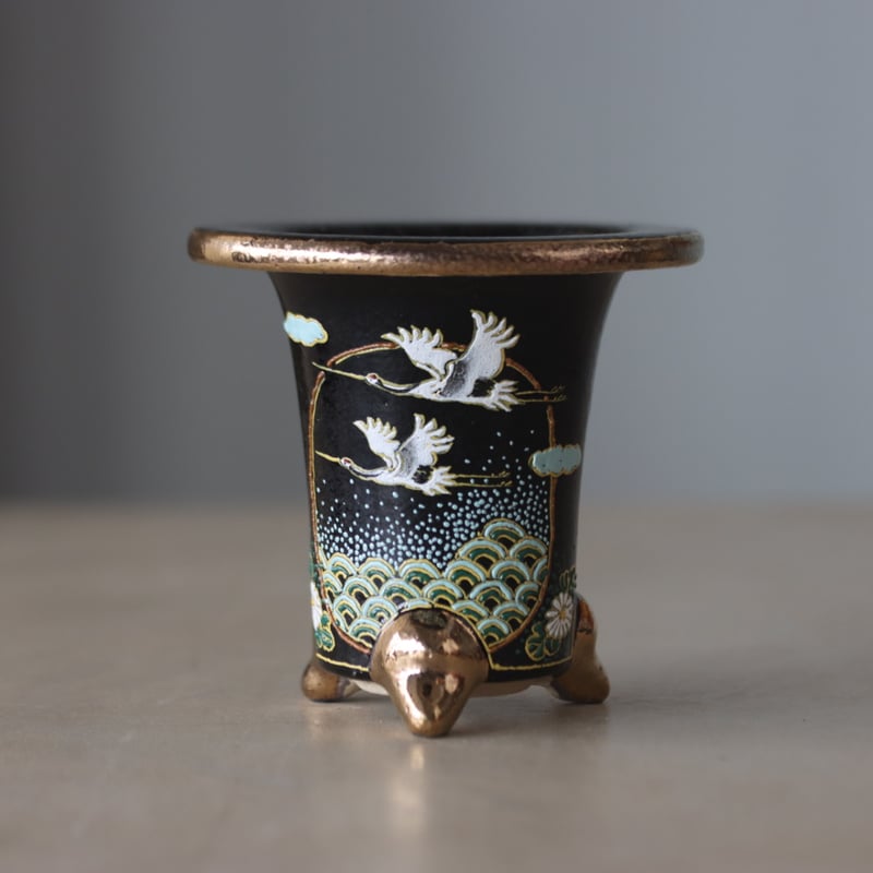 万年青鉢 (3.5号) no.406-47 | 芽の巣山