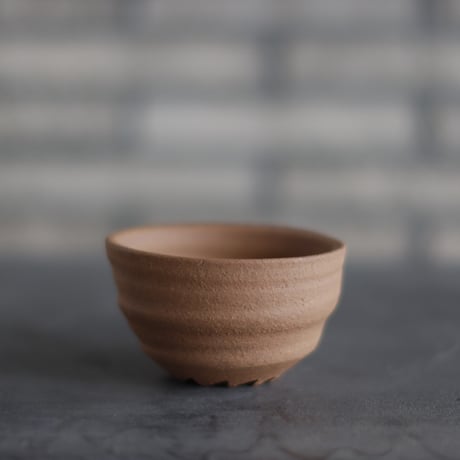 CATEGORY humanity pot | 芽の巣山