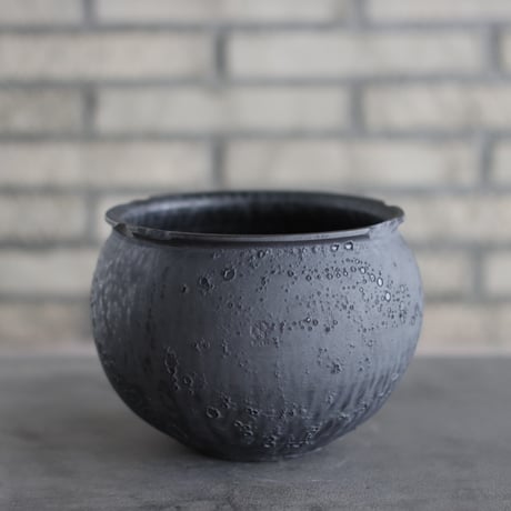 CATEGORY 大鉢 | 芽の巣山