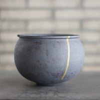 早い者勝ち特価！ 長期管理 現地球 ケラリア ピグマエア 中川智治 作家鉢 Ceraria pygmaea × 山山 特別共作鉢 (安西岳郎 × 中川智治) (3.5