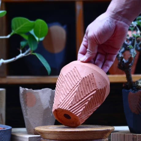 N/OH  INORI  S / persimmon   no.71199