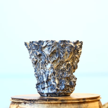 Yuta Uchida / silver rust monst / humanity pot    no.1231-79