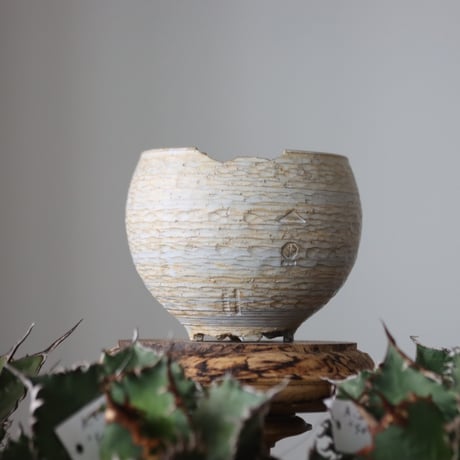 N/OH / MARBLE NOHBLE / コロ鉢 / S   no.421-99