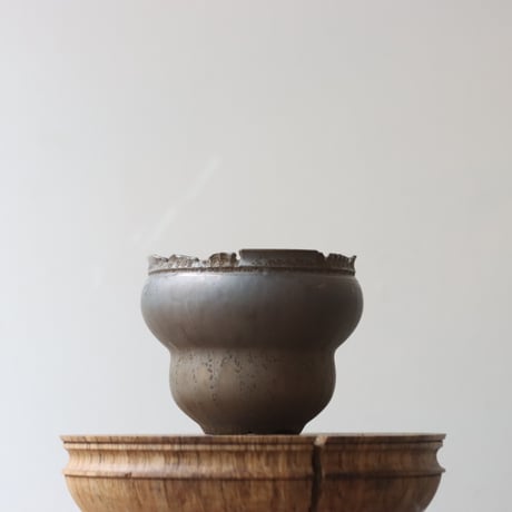 CATEGORY 2025/3/9 20:00~ | 芽の巣山