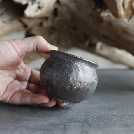 TAKERO POT / Tsubo / Tetsu  (2.5号)   no.525-44
