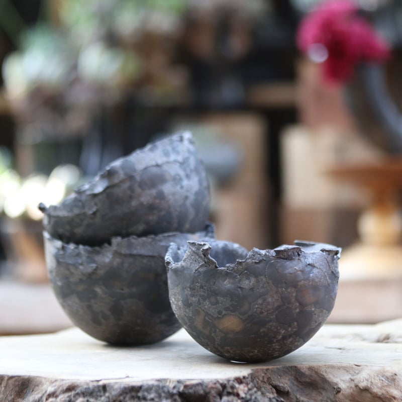 たけろうポット／クロサビ／チギリ／M no.1106-46 | 芽の巣山