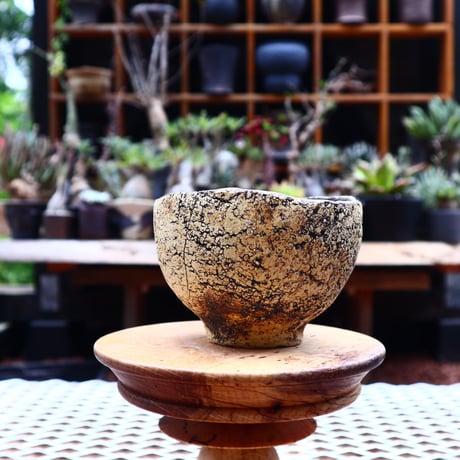 Kaori  Ono 〝 gaia″   /   humanity pot       no.525