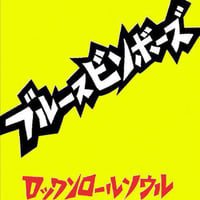ブルースビンボーズ　ロックンロールソウル　”Recorded Live At Shinjyuku D.O.M 2003 7/25” (DVD)