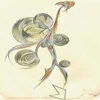 藻の月【inframince -アンフラマンス-】限定数のみ入荷