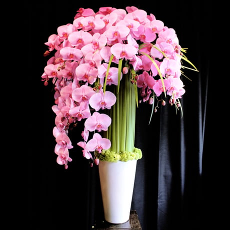 Orchid Flower Gift