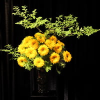 Season Flower Gift