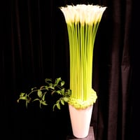 Special Flower Gift