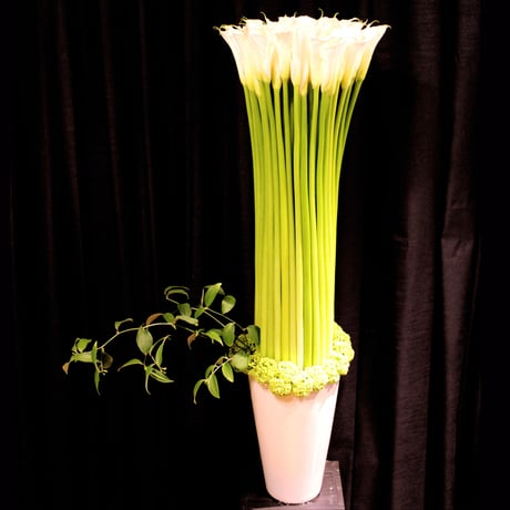 Special Flower Gift