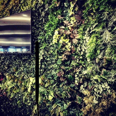Green Wall ー特注・お好みのサイズデザインをご提案しますー