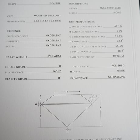 Special price【スペシャル プライス】TIFFANY＆CO. ティファニー PT950 0.28ct プリンセスカット ソリティア ダイヤモンド 一粒ネックレス