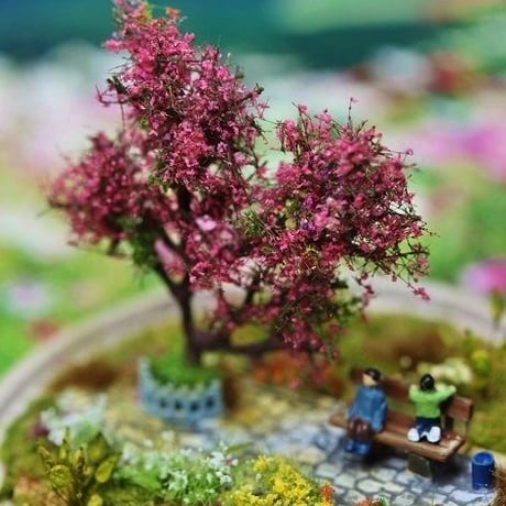 桜の季節