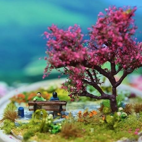 桜の季節