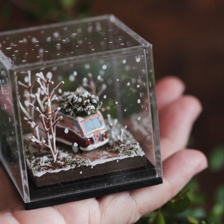クリスマスのモミの木