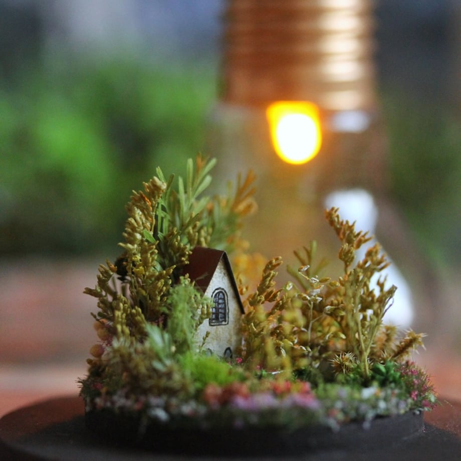 67b314e67f5ecd0201e15ddc