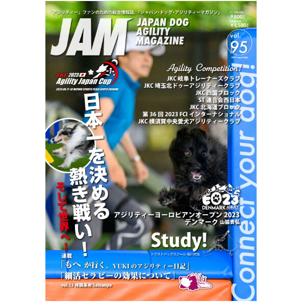 希少美品VAN JAC Global Eyeゴルフ広告木製額装2枚1970年代 ビンテージVAN JAC×REGALレトロポップポスター2枚＋フレーム