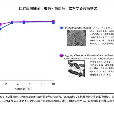 サーフィン・海水浴後のオーラルケア【アフターサーフ オーラルピース】 バクテリア対策に乳酸菌ペプチド特許製剤ネオナイシン-e配合 ケミカルフリー宇宙技術で体と海を守る口腔衛生保湿液 雨後72時間の海に