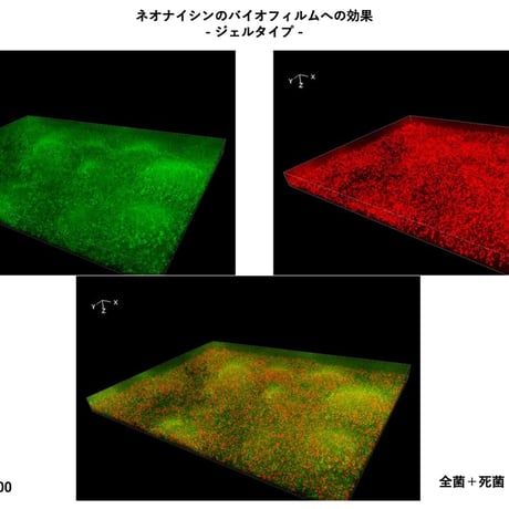 サーフィン・海水浴後のオーラルケア【アフターサーフ オーラルピース】 バクテリア対策に乳酸菌ペプチド特許製剤ネオナイシン-e配合 ケミカルフリー宇宙技術で体と海を守る口腔衛生保湿液 雨後72時間の海に