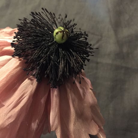 Poppy Cosage　Pink