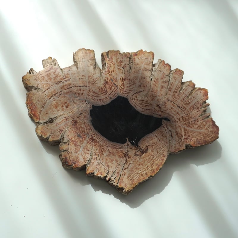 ペトリファイドウッド　プレート　 約2.5cm　⑤ ペトリファイドウッドプレート | プレート | Crystals by Purely