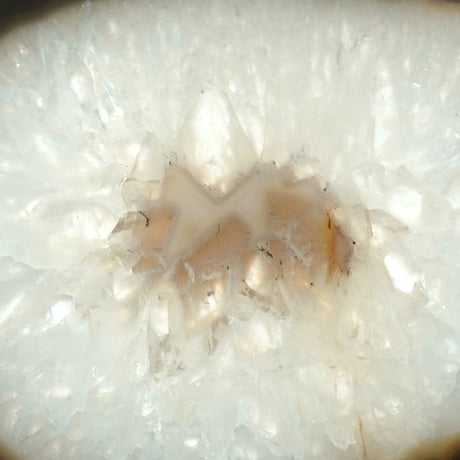 【１点物】アゲートプレートL（モノトーン）