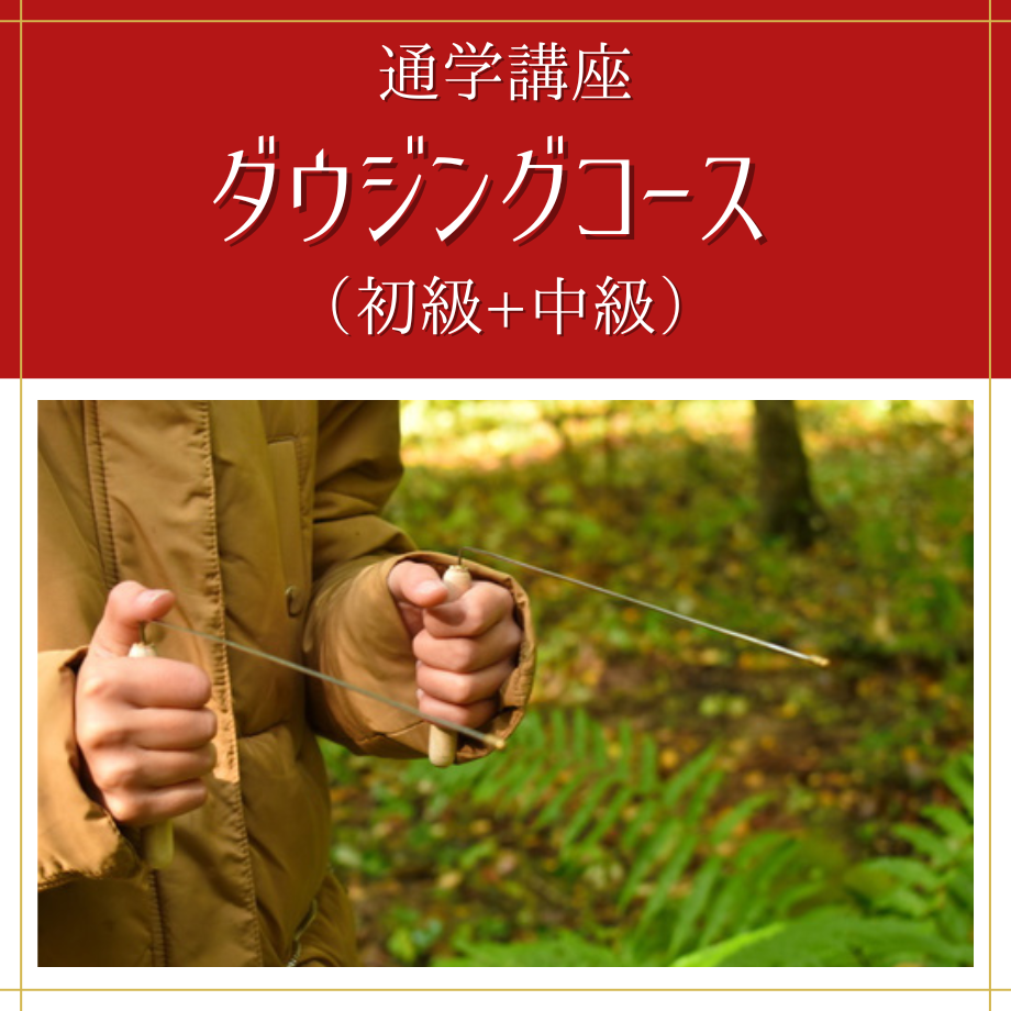 653205a64adcc201d2a45fb5