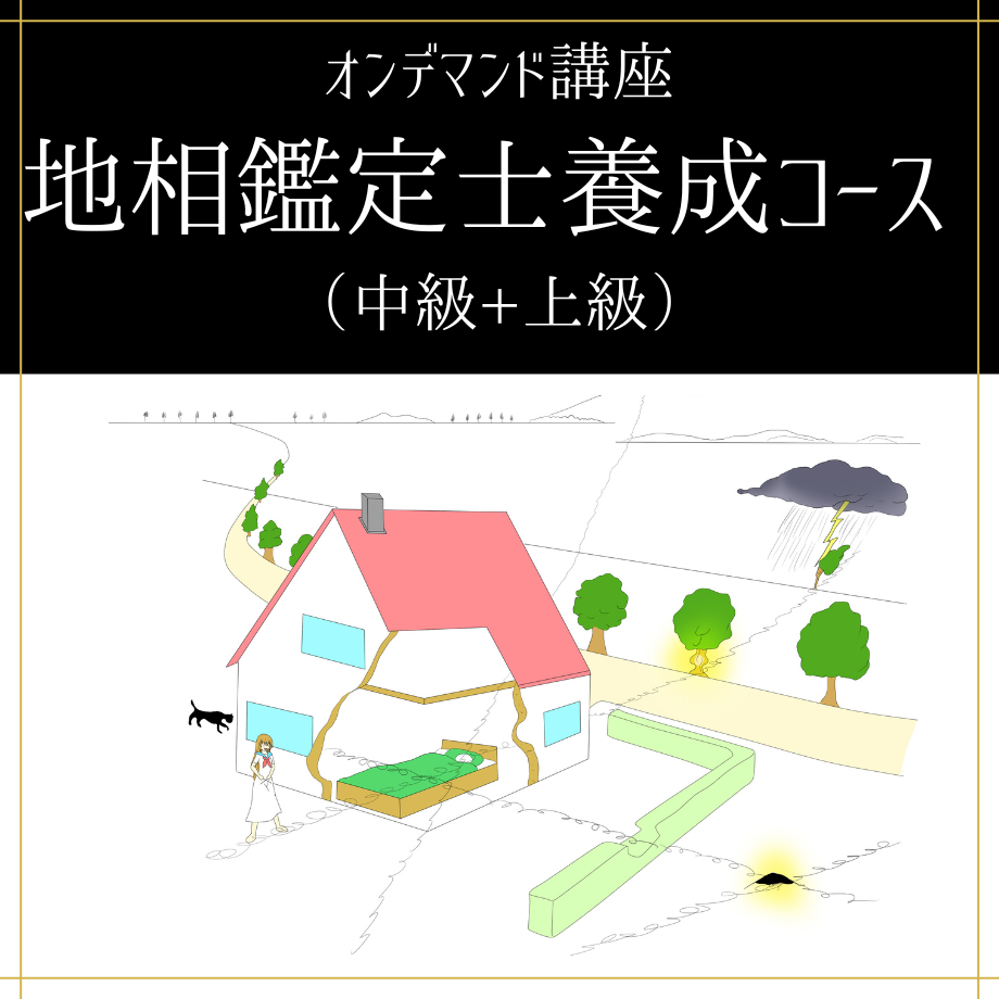 53731ee08a56109846000016