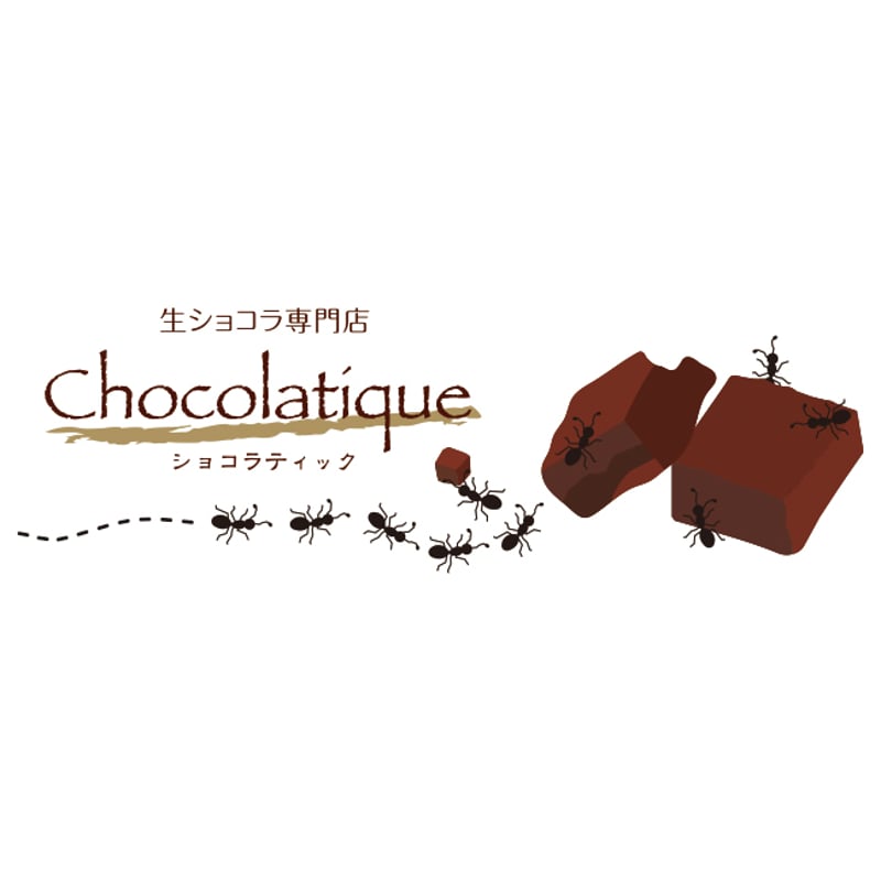 生ショコラ ビターオレンジ＜ベルギー製最高級チョコレート