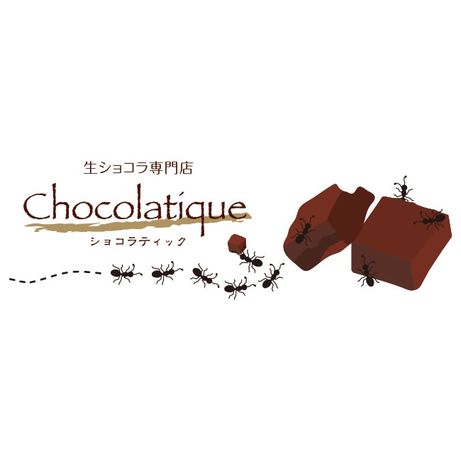 生ショコラ ビターオレンジ＜ベルギー製最高級チョコレート