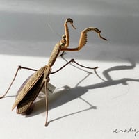 -----受注制作------『 カマキリのブローチ・茶』