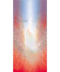 駒井明子.ART作品『朱雀- rebirth』雑誌Anemone3月号連載