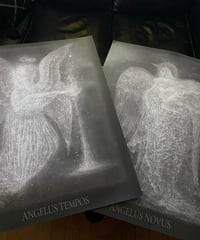 堀内亜紀作　ポスター「ANGELUS NOVUS」「ANGELUS TEMPOS」