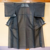 紗　二重紗　小紋　z327