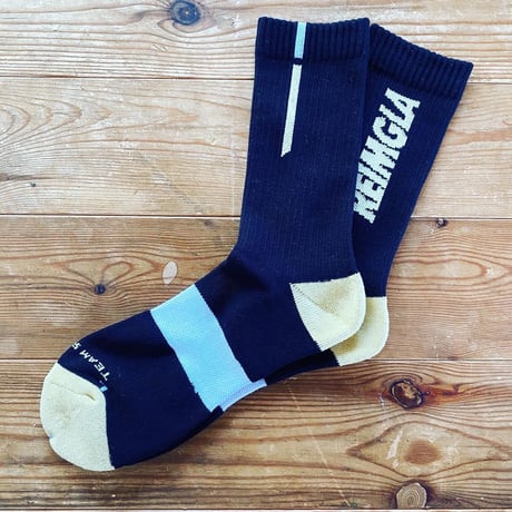 REIMGLA Logo SOCKS