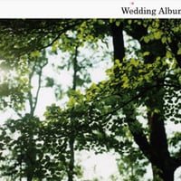 Wedding Album（V.A.）